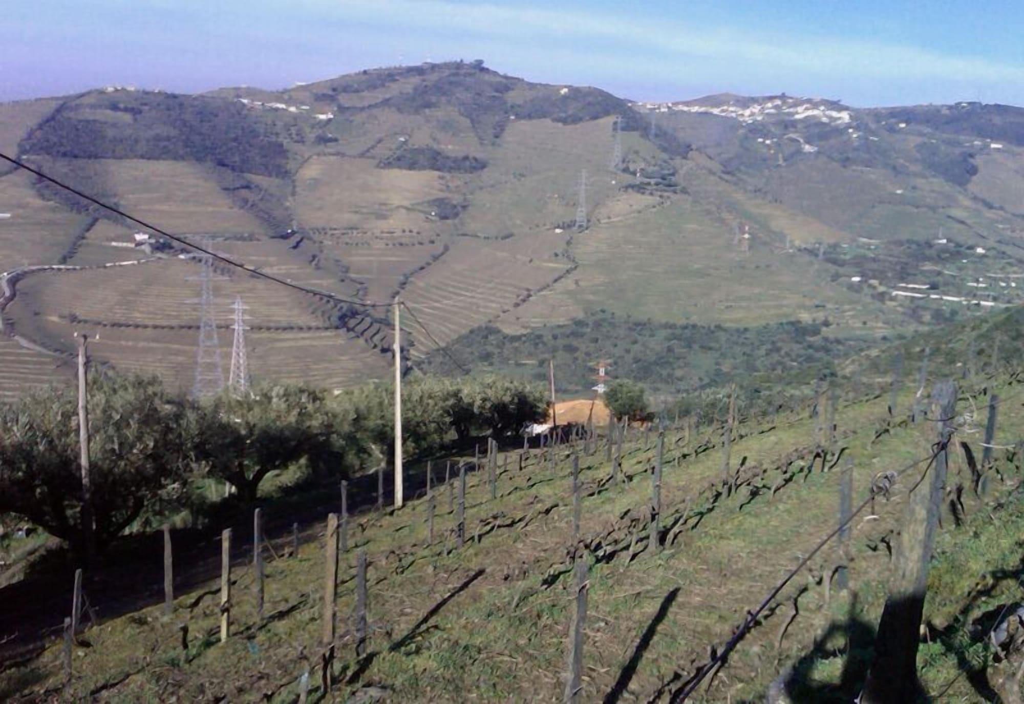 Quinta De Casaldronho Wine Hotel Lamego Εξωτερικό φωτογραφία