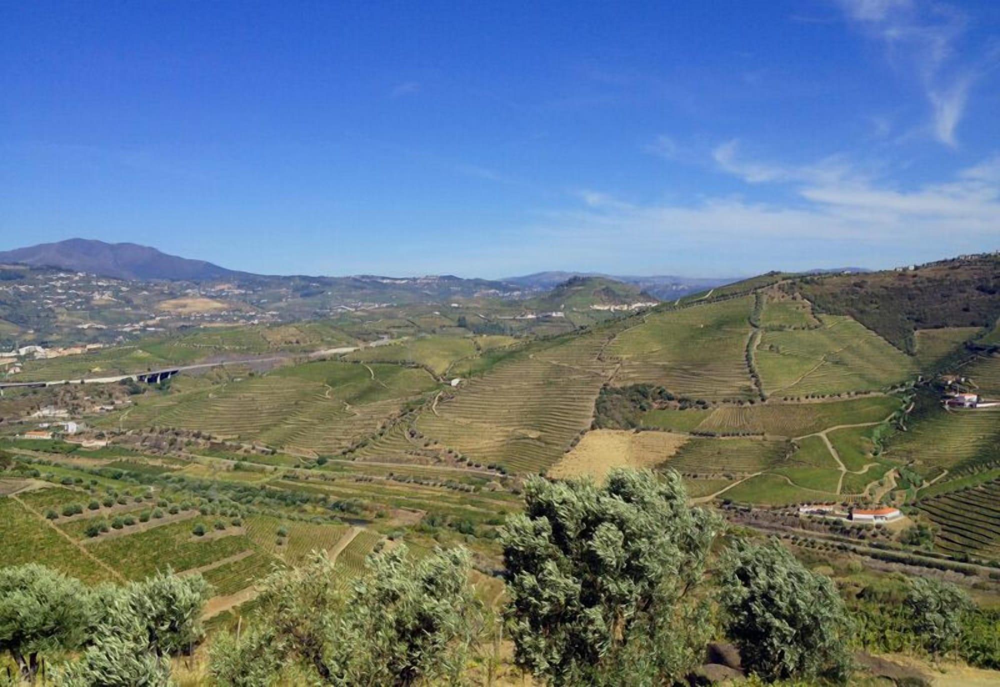 Quinta De Casaldronho Wine Hotel Lamego Εξωτερικό φωτογραφία